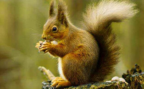 ����͞��f����