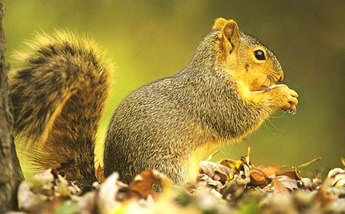 ��������ɹ���