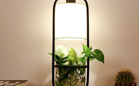 �ҵ�С�_������(���\15ƪ)