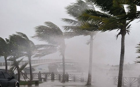 �P(gu��n)���_(t��i)�L(f��ng)��(y��u)������