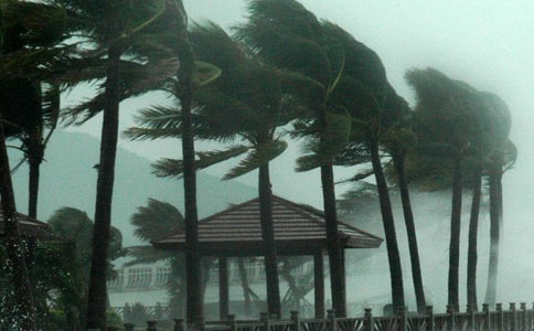 臺(tái)風(fēng)長(zhǎng)啥樣?!