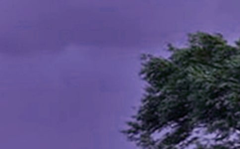 ����(qi��ng)�_�L(f��ng)�Ĺ������Y(ji��)