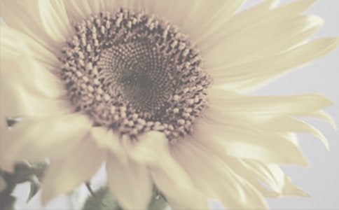 ̫ꖻ�����15ƪ