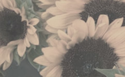 �����x��̫ꖻ�����4ƪ