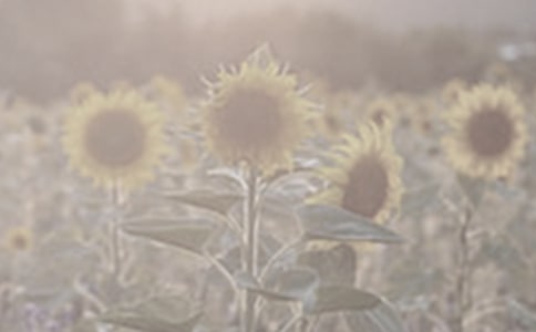 С�����g(sh��)��̫ꖻ����̰�