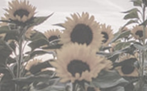 ̫�(y��ng)��Ԓ�}����