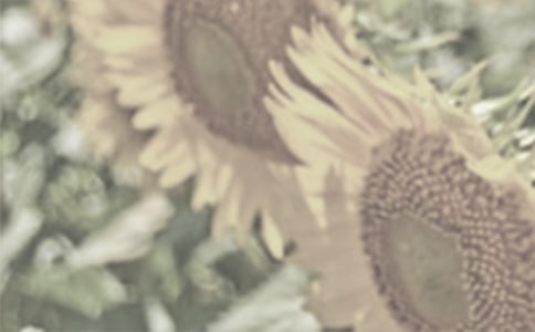 ̫�(y��ng)��(�޸İ棩