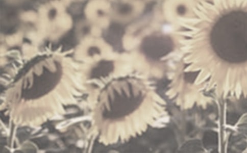 ̫�(y��ng)����������ƪ