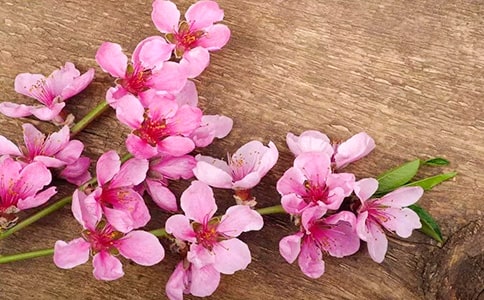 �����һ�ˮ����