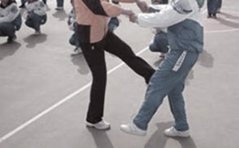 小學(xué)體育教學(xué)計(jì)劃范文(精選6篇)