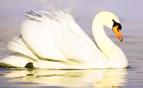 �����Z����