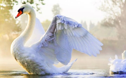 ���Z�����ķ���