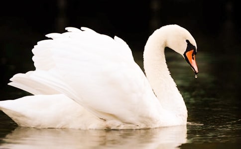 �����Z����