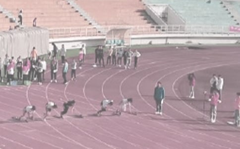 �Ӗ(x��n)���������Y(ji��)12ƪ