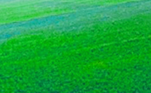 田野里的秋景作文