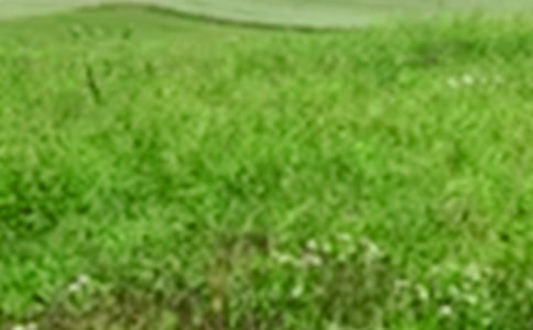 �ļ�����Ұ����