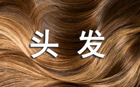 我的頭發(fā)作文