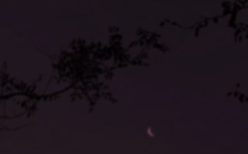 �ɐ۵���������