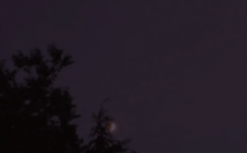 溫馨的晚安語錄