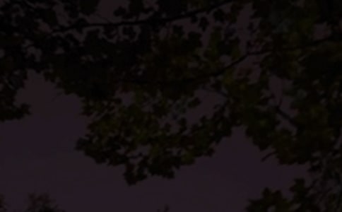 2023�꺆�εă�(y��u)�����������Z�Z�39�l