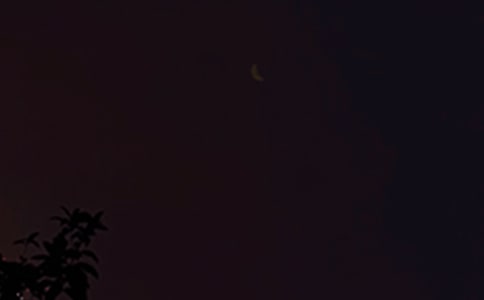 2023�곣�Ü�ܰ���������Z�Z䛴�R��87��