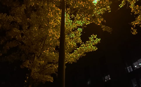 ���؂䡿2023���������Z䛴�ϼ�50��