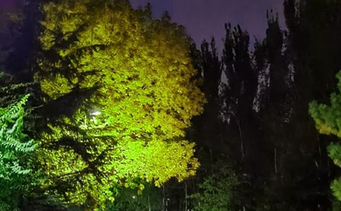 ��(j��ng)���ܰ�����������Z�Z䛼��\55��