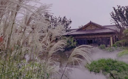 �ݜ�Ȫ����14ƪ