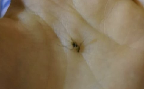 ����������15ƪ