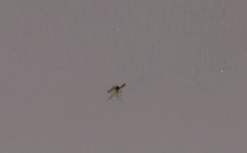 ���ӵ�����