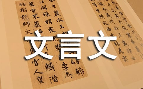 ���������ľ�Ʒ