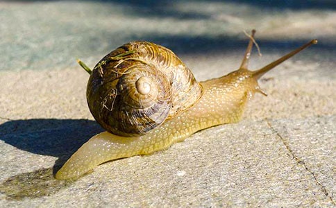 ���xС�W(xu��)��΁ţ�����ąR��8ƪ