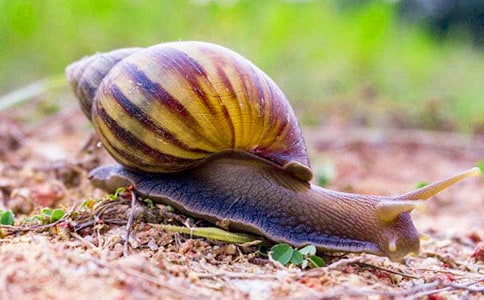 ���^��΁�����̌W(xu��)�O(sh��)Ӌ(j��)