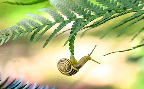 �������w��΁ţ���ľ��x15ƪ