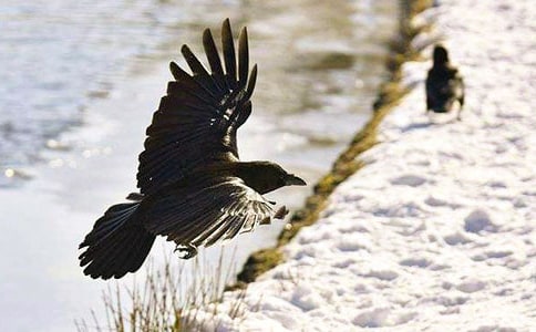 ���f���_�Ժ�����15ƪ