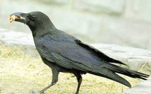 �����꼉��С���f�ۋ���