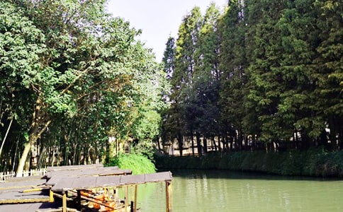 �����Ğ��(zh��n)����