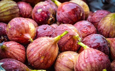 �o�������ąR����15ƪ��