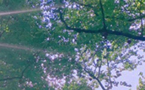 �����簲���ӅR��70�侫�x