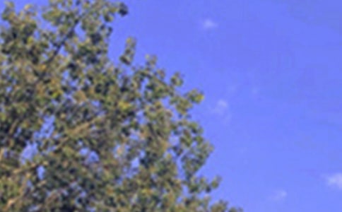 ů���簲����40��