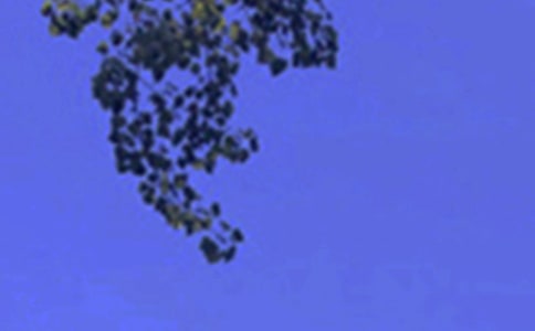 �簲�Z䛼��\46��