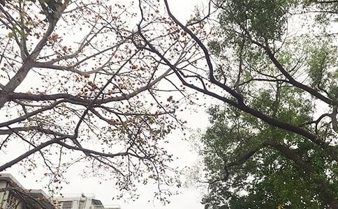 2023�����������簲�Z䛅R��96�l