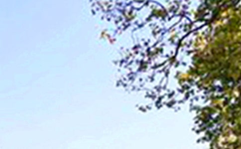 �P(gu��n)���簲���ӣ����x70�䣩