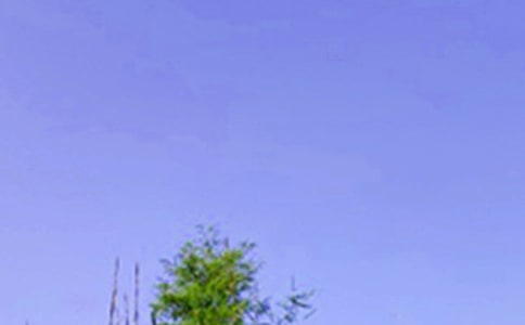 ��(j��ng)�����������簲�Z�99��