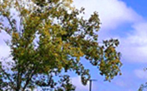 ů���簲����50�侫�x