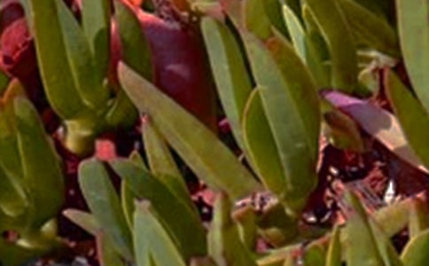 ��(j��ng)�����������簲�Z䛺ϼ�74��