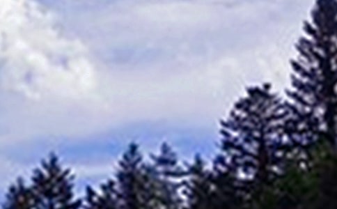 ��(g��)���簲�Z䛅R��50��