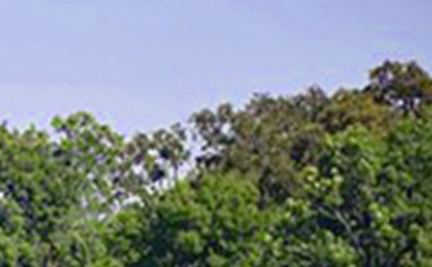 ��(j��ng)���ܰ�簲���ӅR��70��