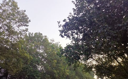 ����Ȧ�簲�Z䛅R�������x90�䣩