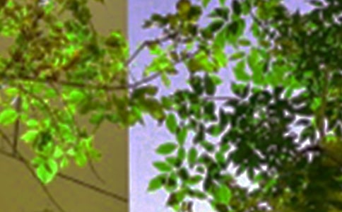 �P(gu��n)�ڂ����簲�Z�30��